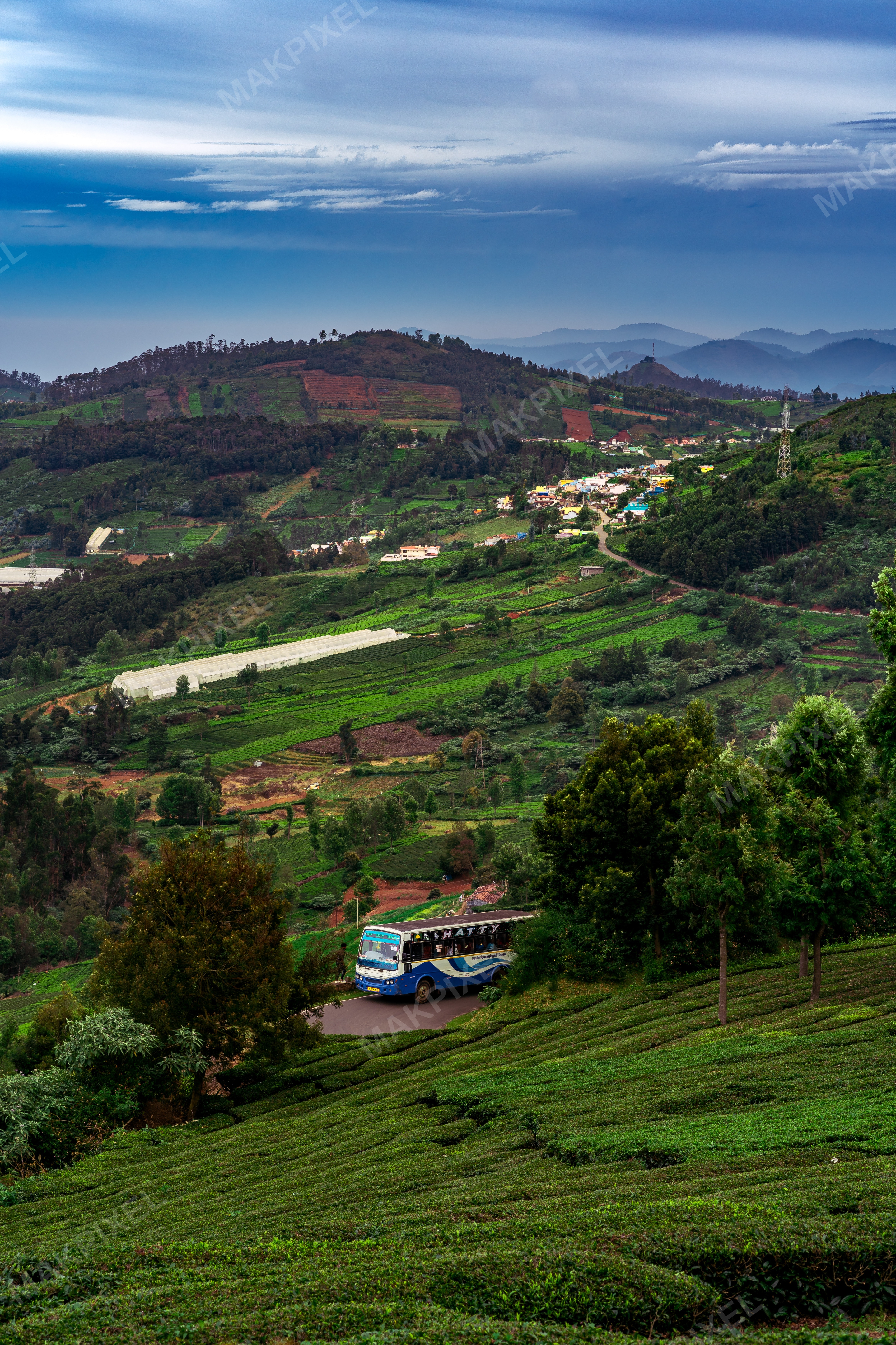 Ooty Gardens Blue Hills, Nilgiris Scenic Route, Misty - Full size view