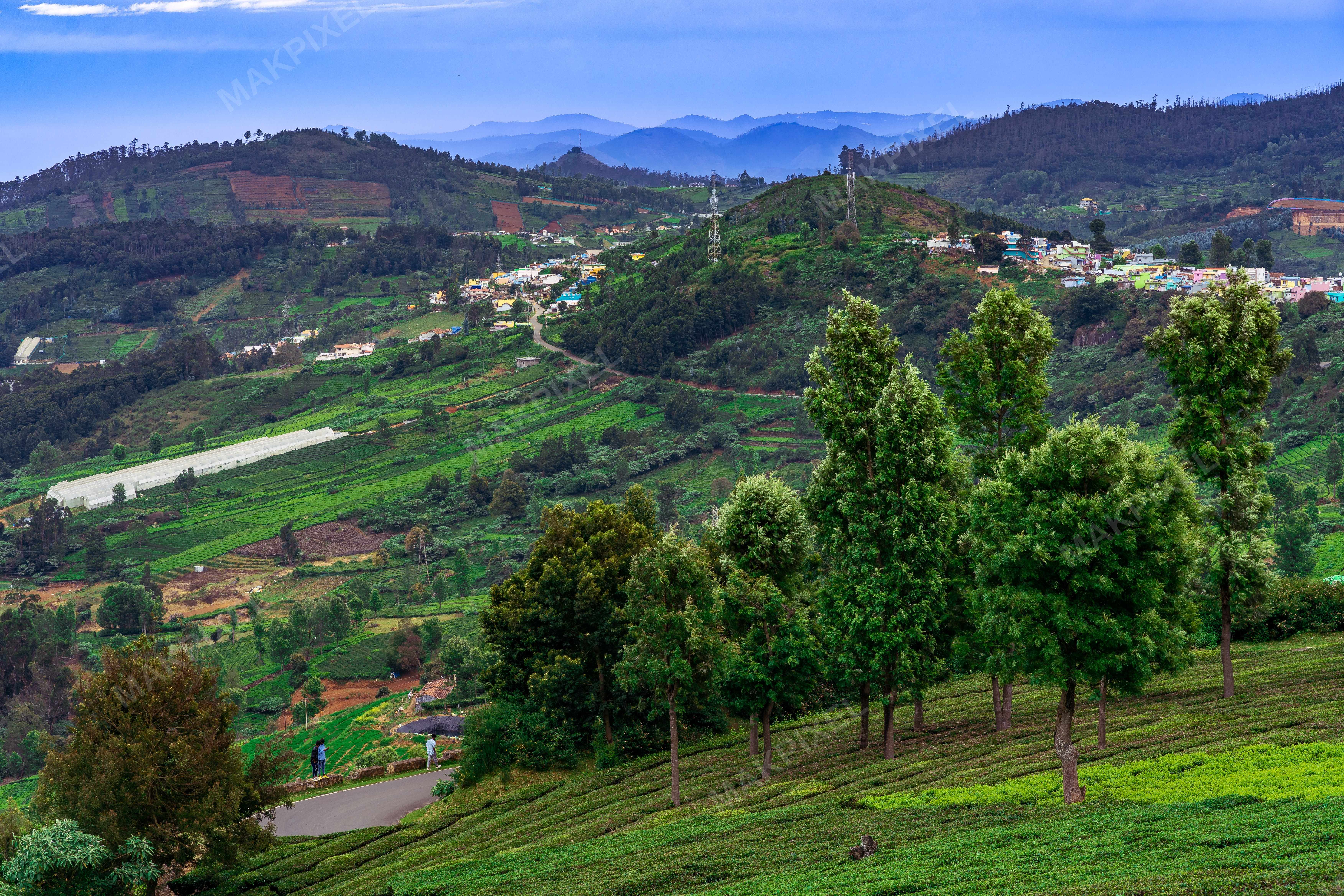 Tea Estates and Village in Nilgiris Hills, Ooty – Stunning Green - Full size view