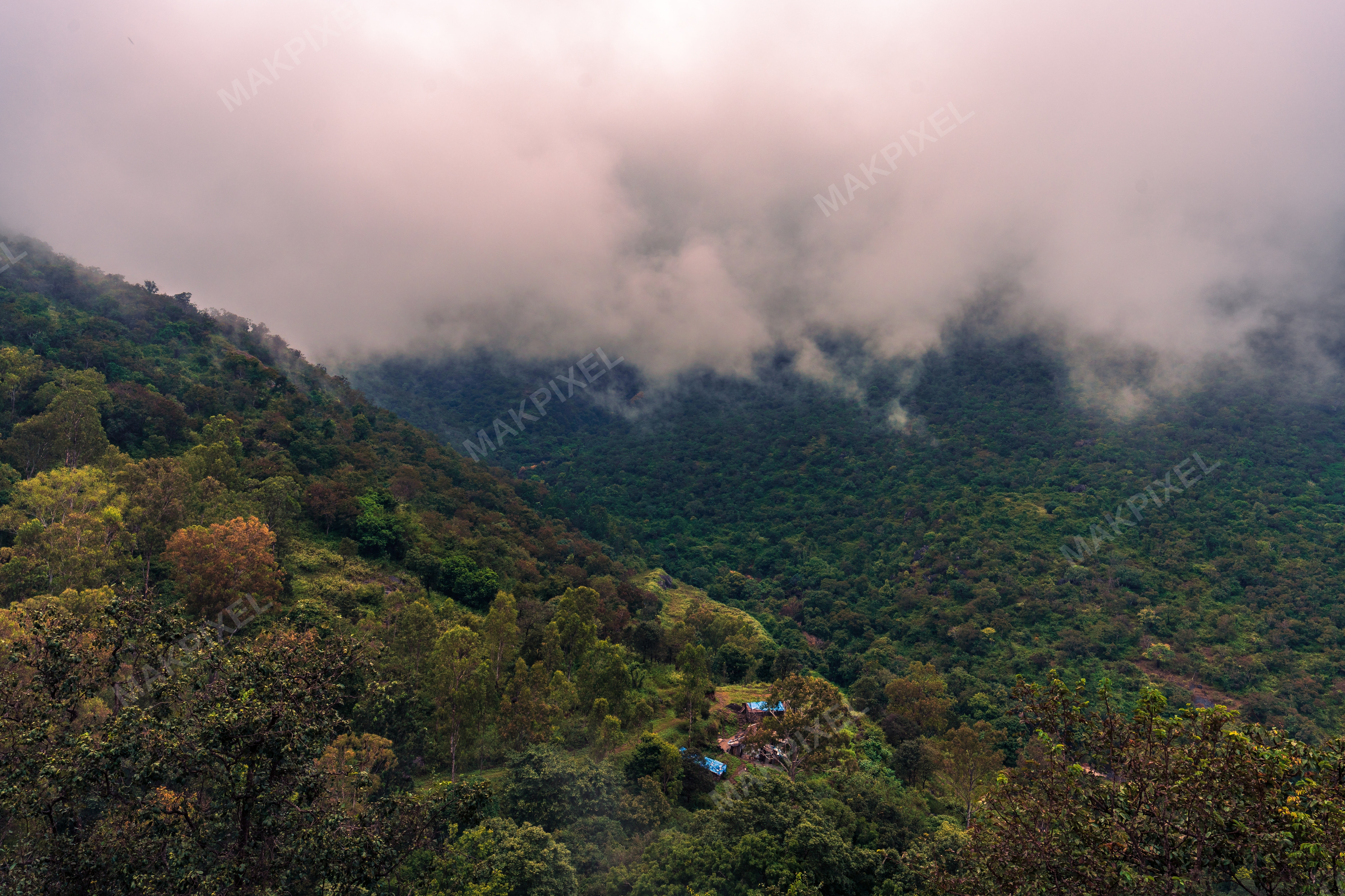 Sunset Over Ooty Gardens Hills Lush Green Plantations - Full size view