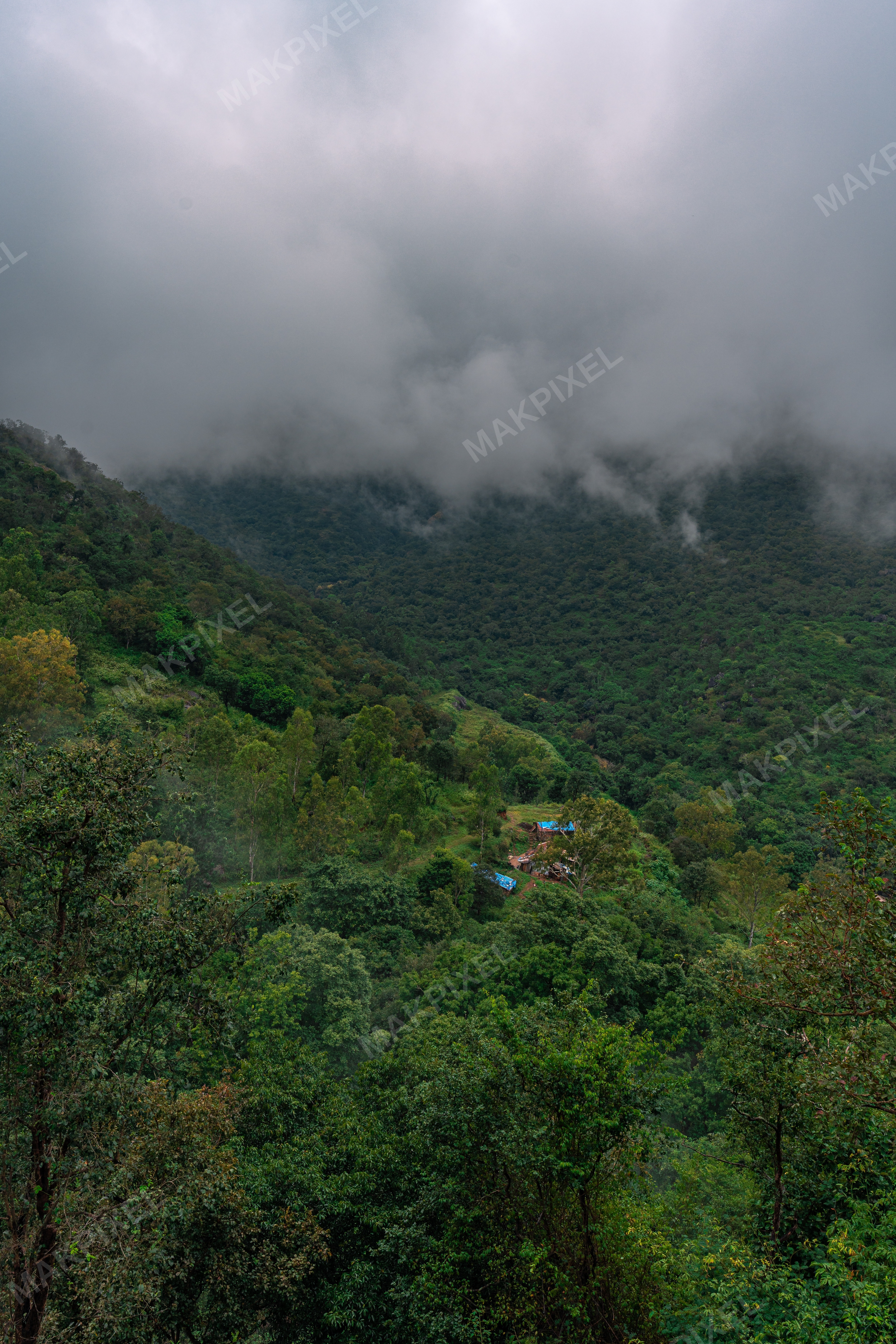 Ooty Misty Forest Hills Dense Greenery, Mountain Valley Fog - Full size view