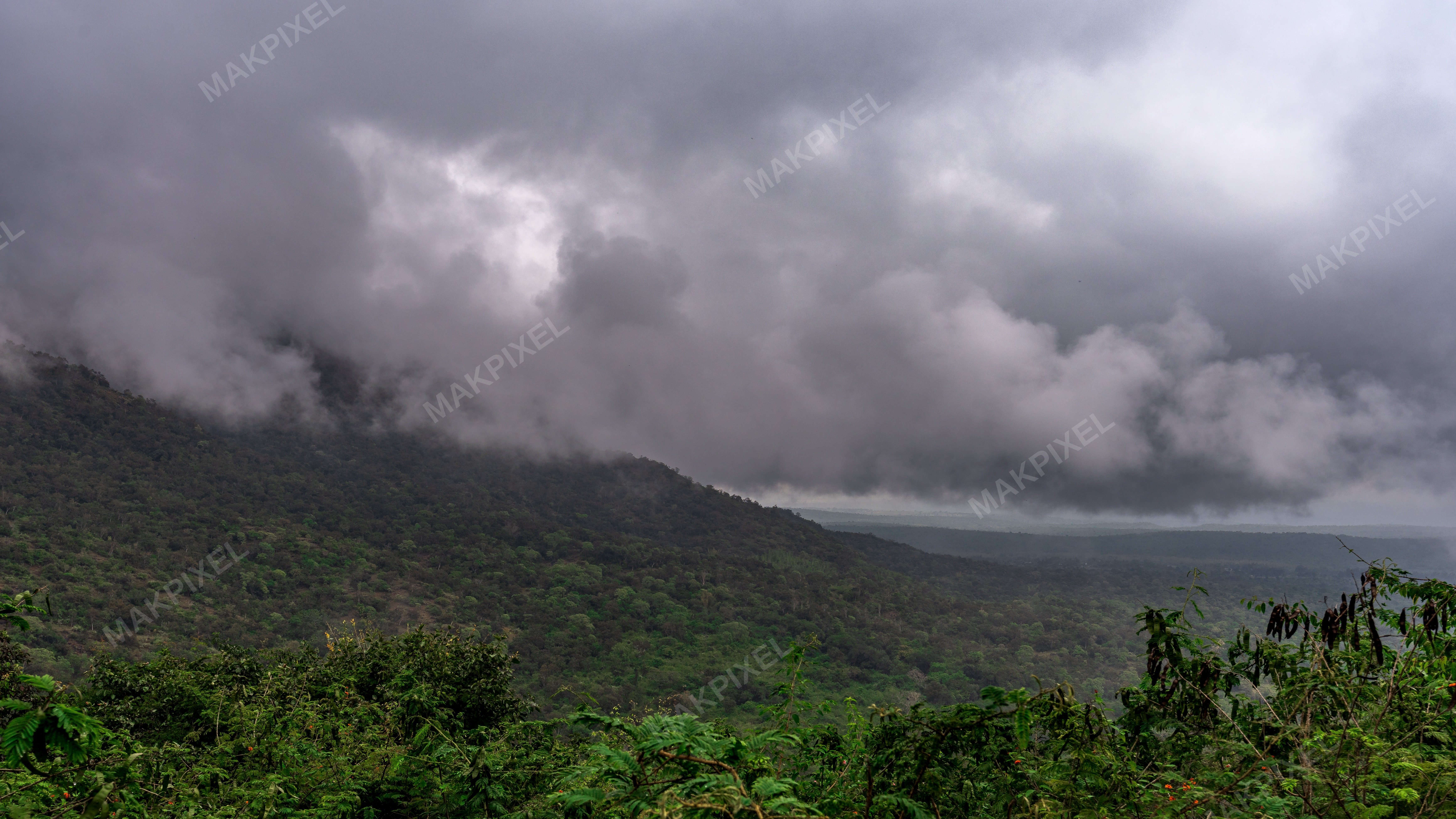 Misty Valley Dense Forest, Ooty Dramatic Monsoon Clouds - Full size view