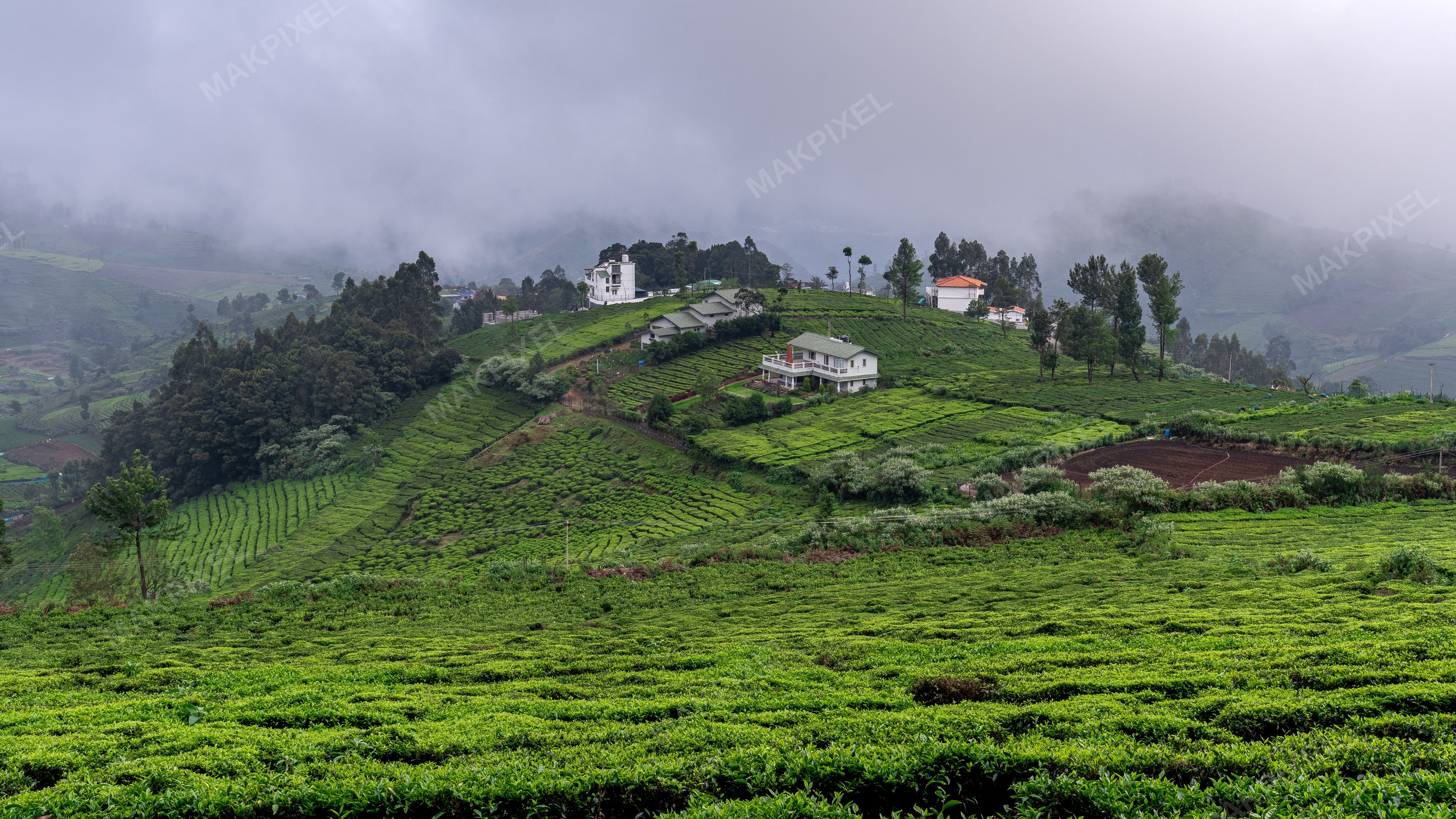 Misty Green Estates Ooty, Nilgiris Serene Landscape Estate - Full size view