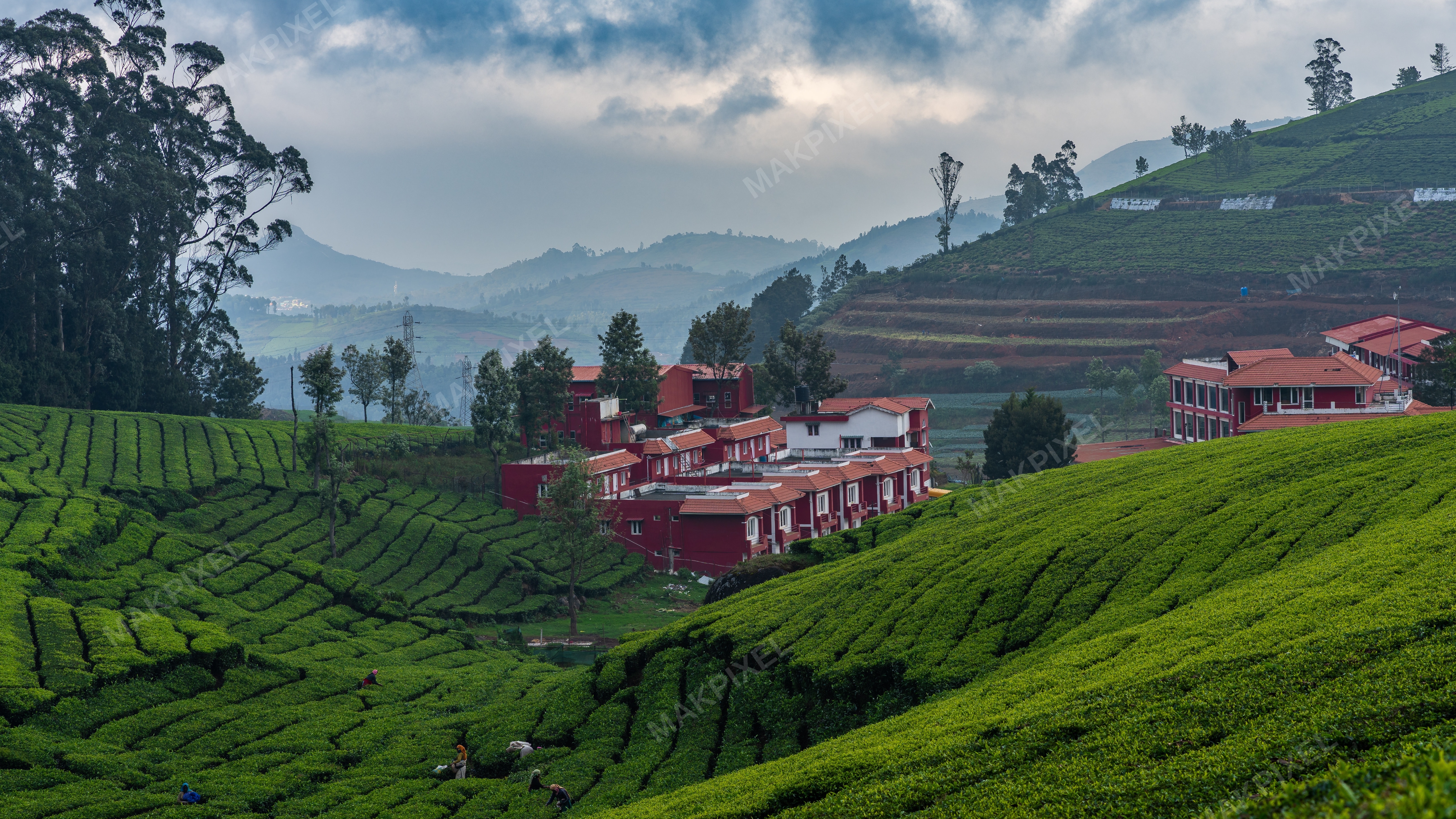 Red Rooftop Buildings Among Lush Ooty Tea Estates – Monsoon Clouds - Full size view