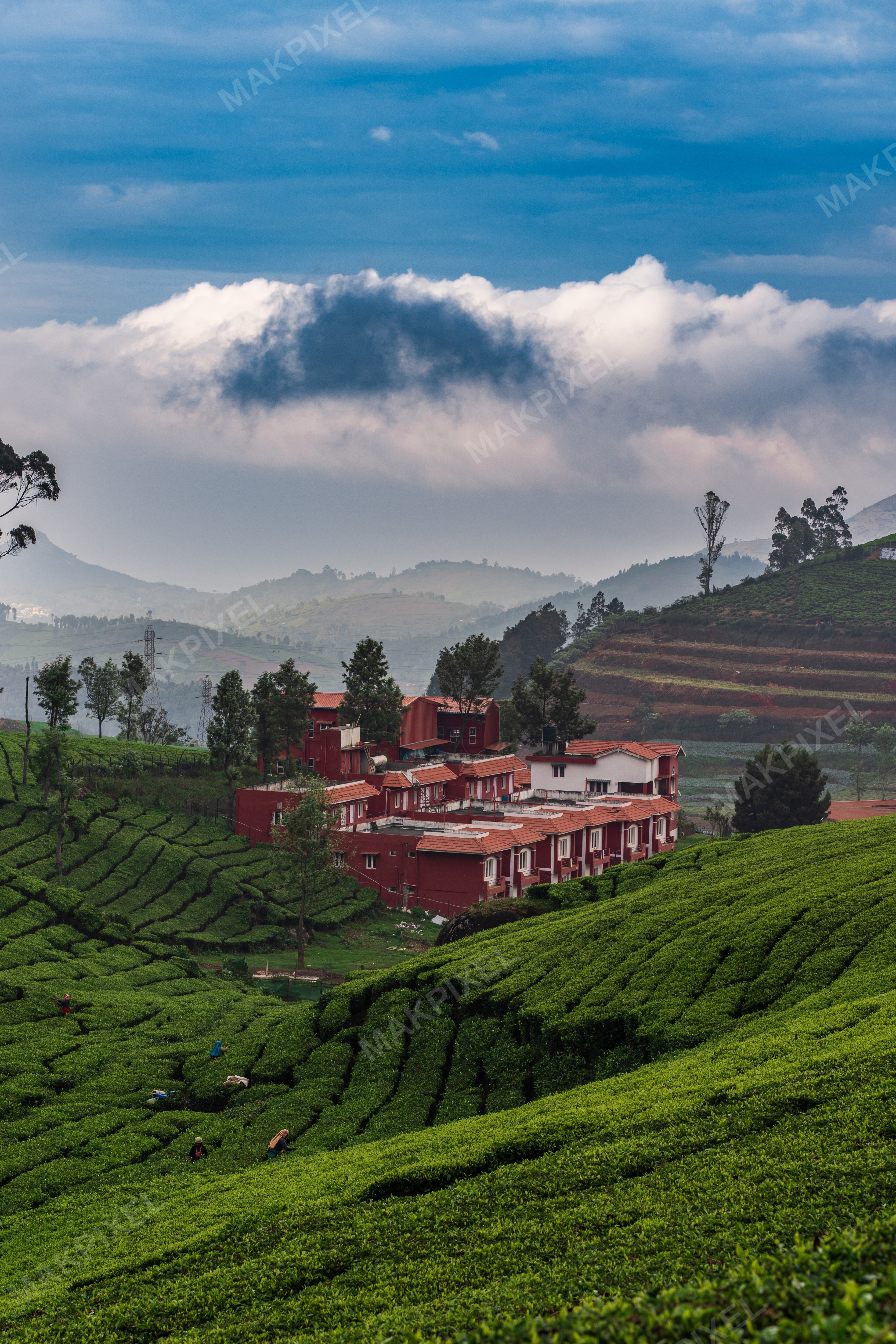 Red Buildings in Lush Ooty Tea Plantations – Dramatic Cloudscape, Hill - Full size view