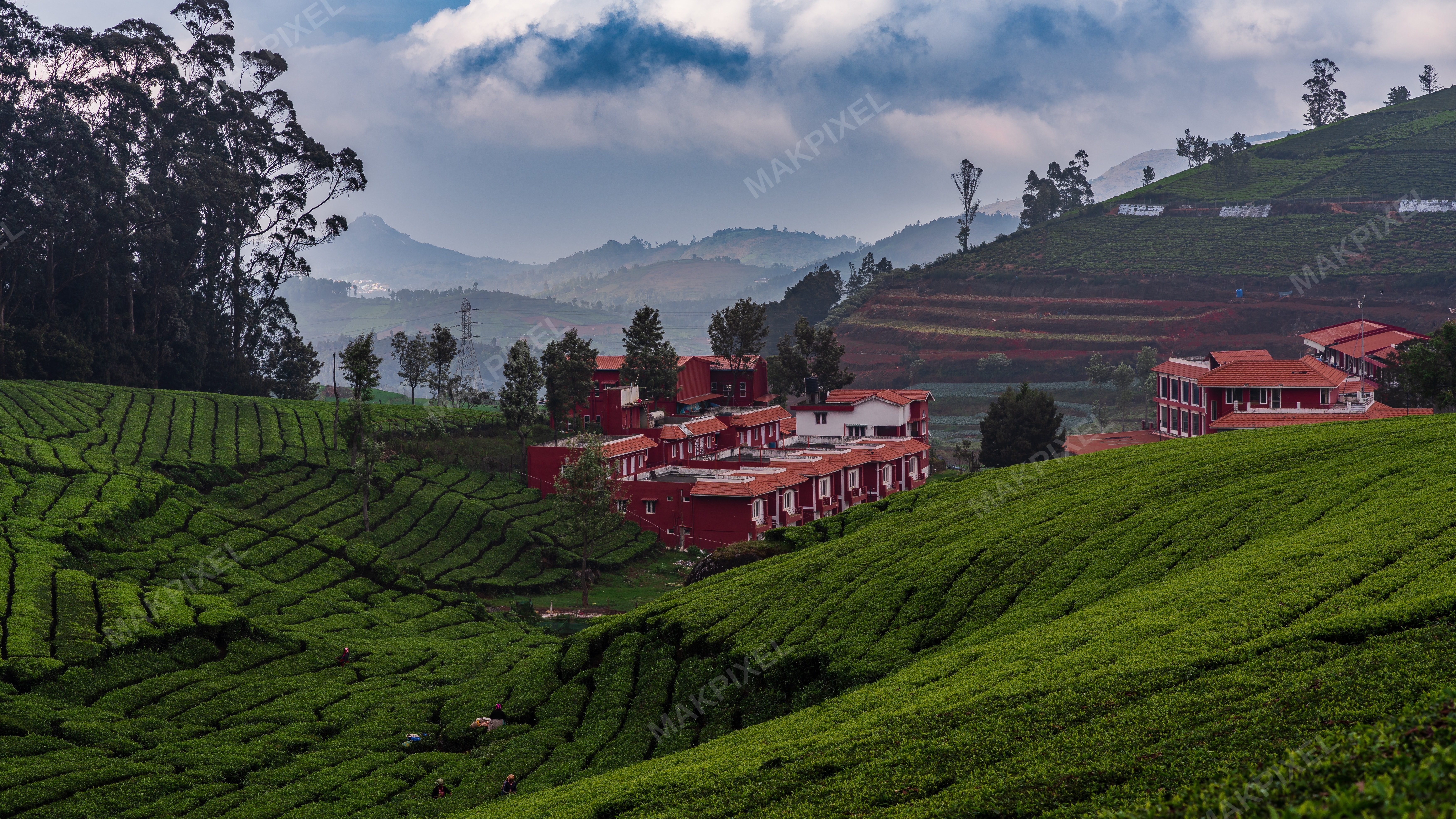 Red Buildings in Misty Ooty Tea Fields – Terraced Plantations - Full size view