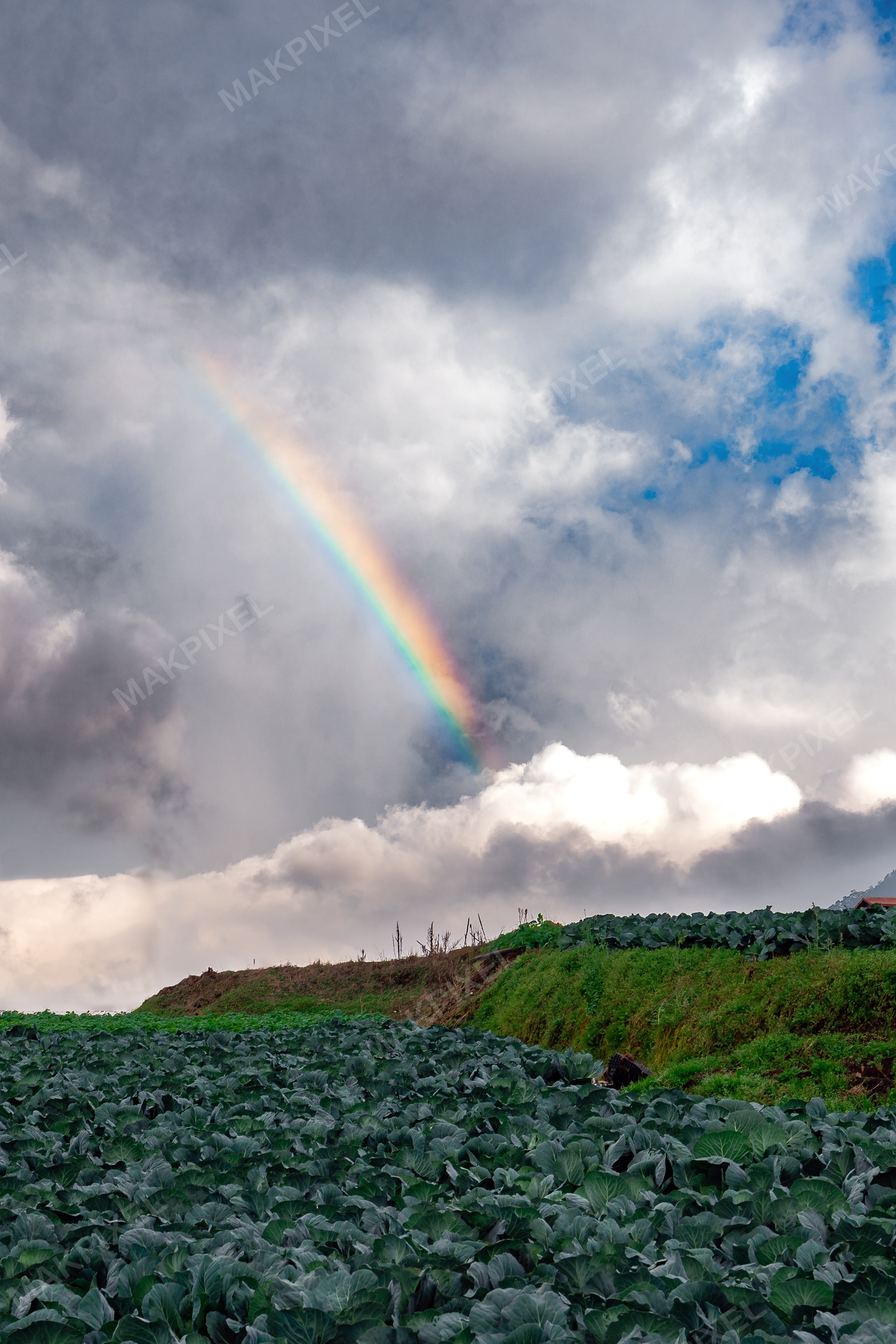 Rainbow Over Cabbage Farm, Ooty – Monsoon Clouds, Green Fields - Full size view