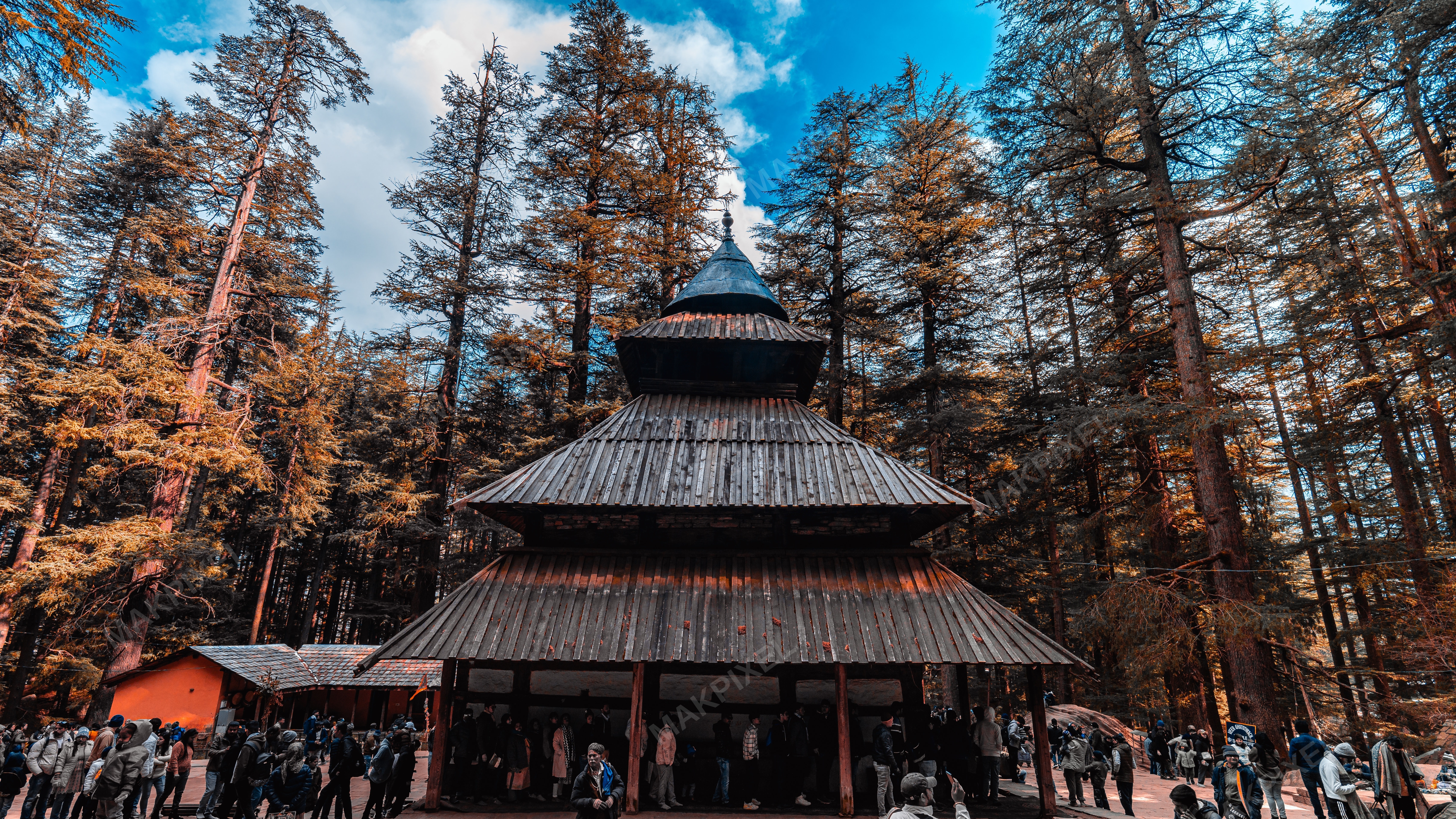 Hadimba Devi Temple Manali Cedar Forest Wooden Pagoda Architecture - Full size view