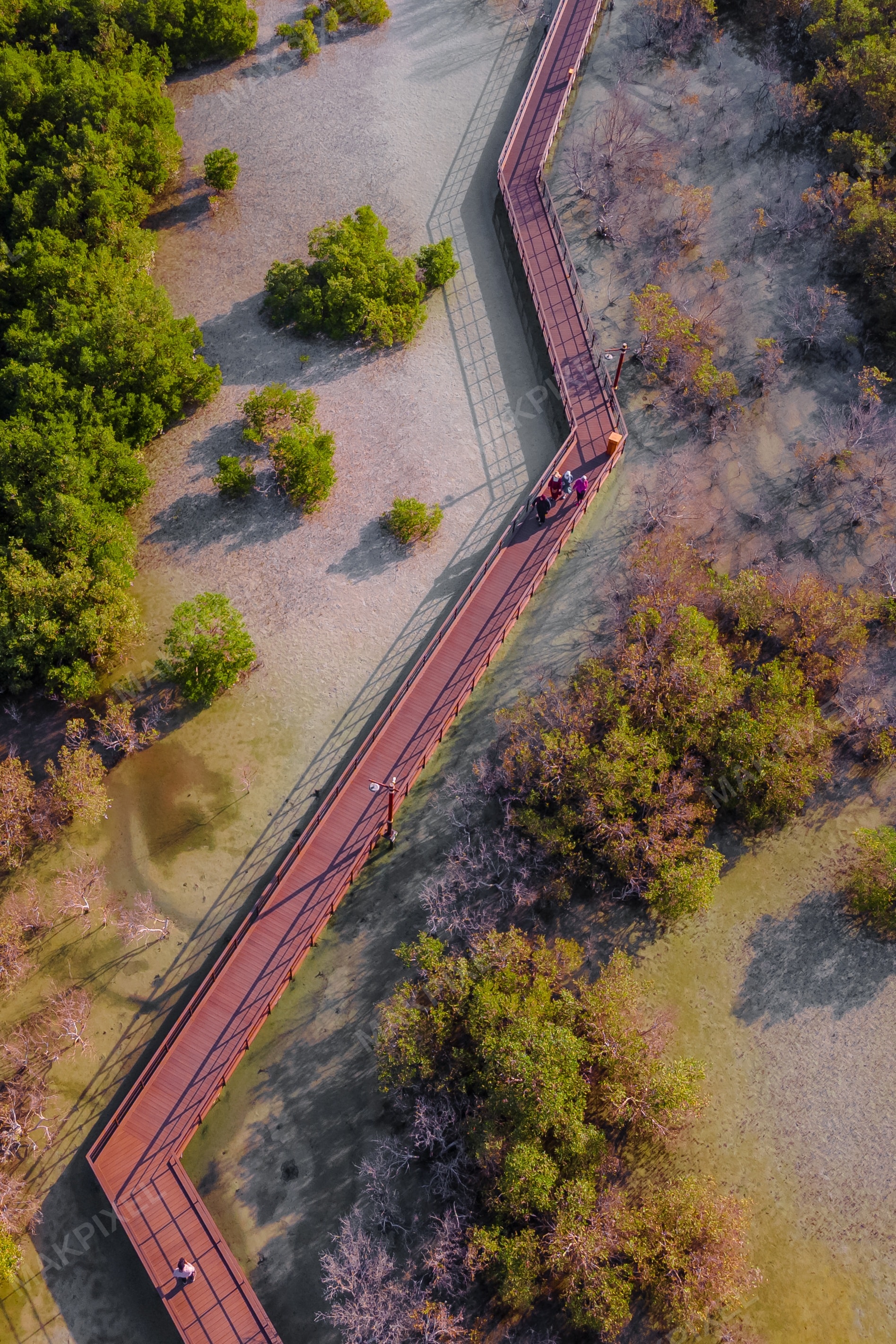 Jubail Mangrove Park Aerial View | Boardwalk Eco Walkway UAE Abu Dhabi - Full size view
