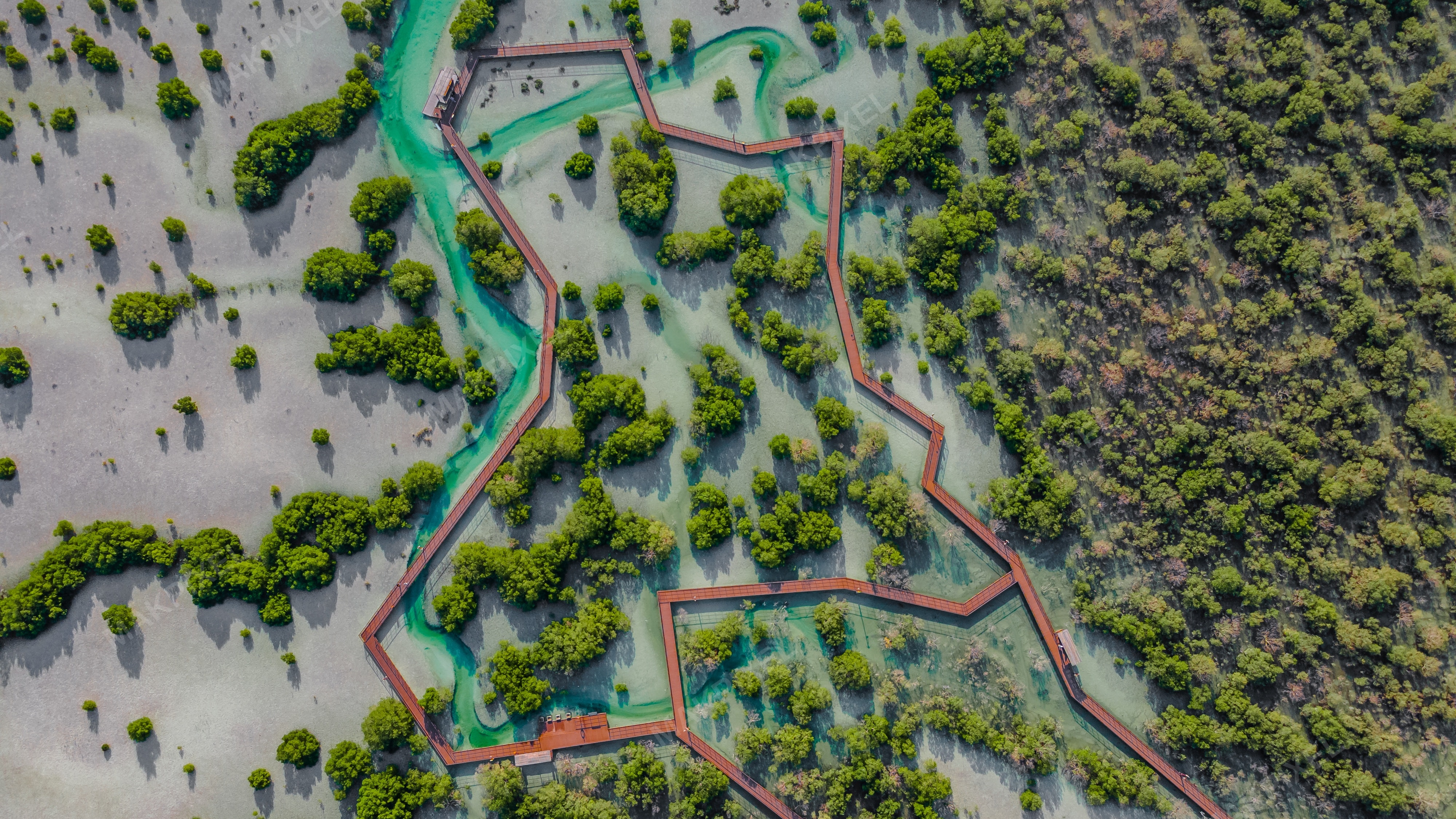 Aeriel view Jubail Mangrove Park Geometric Boardwalk Abu Dhabi - Full size view