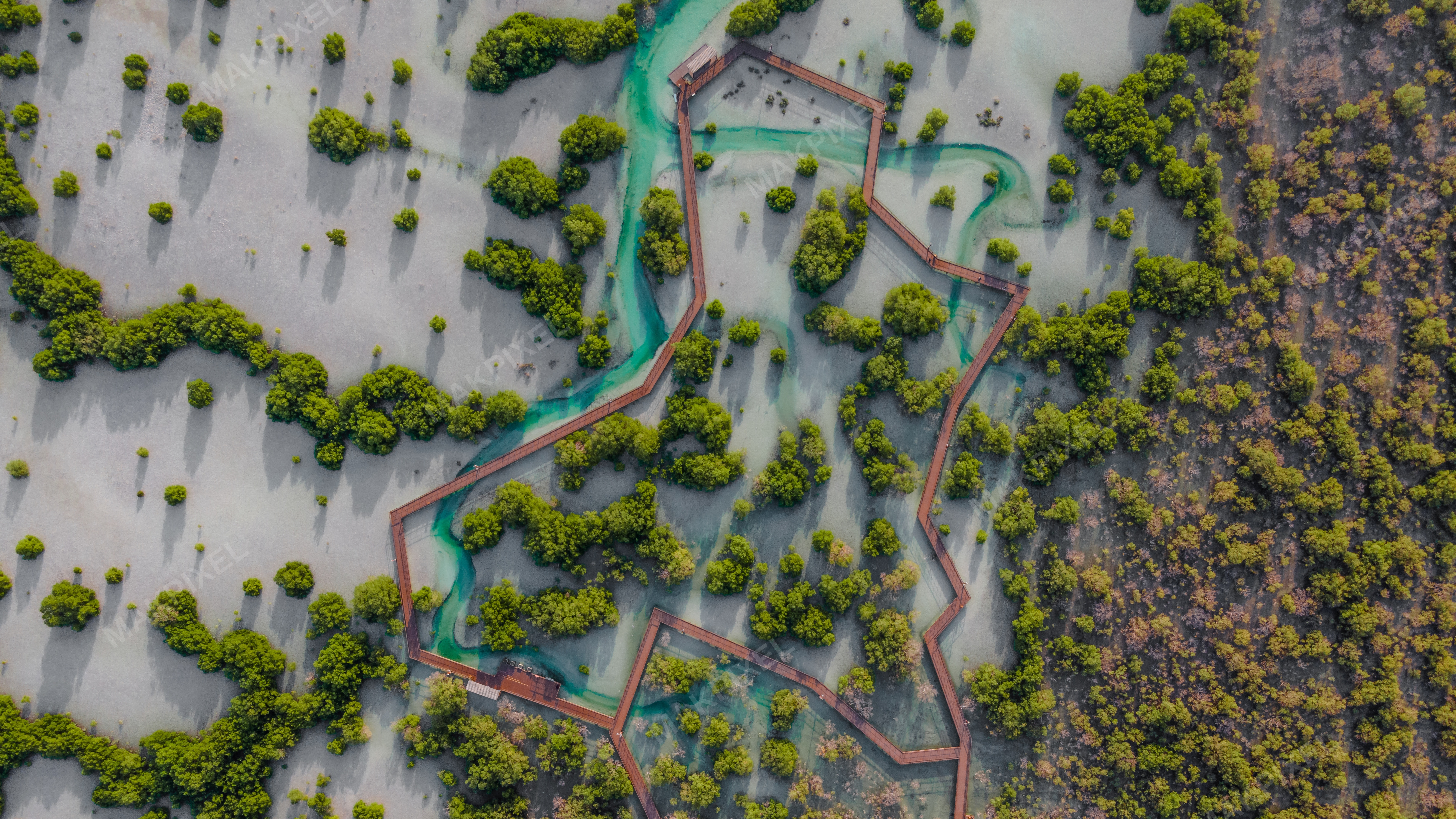 Jubail Mangrove Park Aerial Walkway Geometric Boardwalk - Full size view