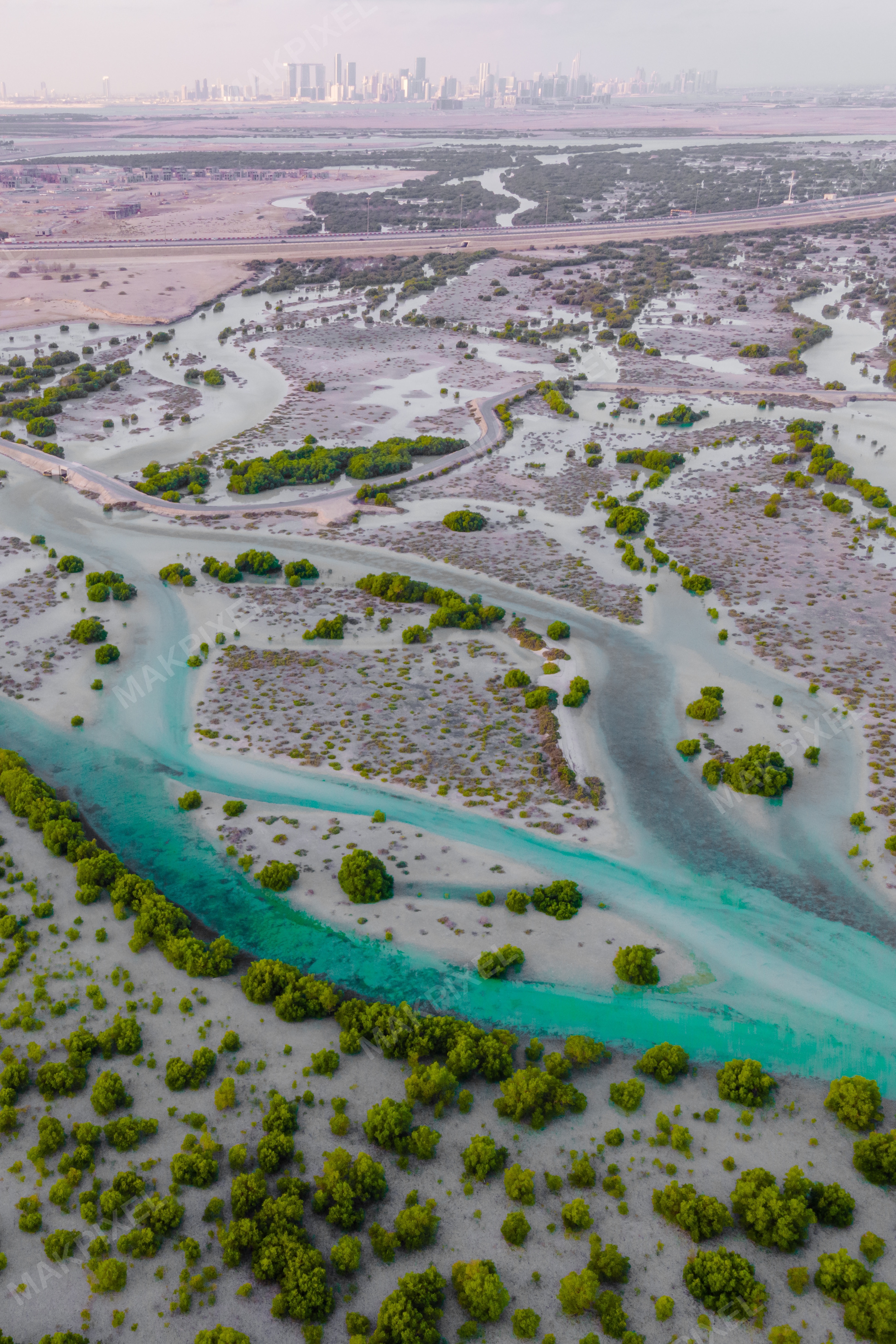 Jubail Mangrove Park Image Vertical Panorama Showcasing - Full size view