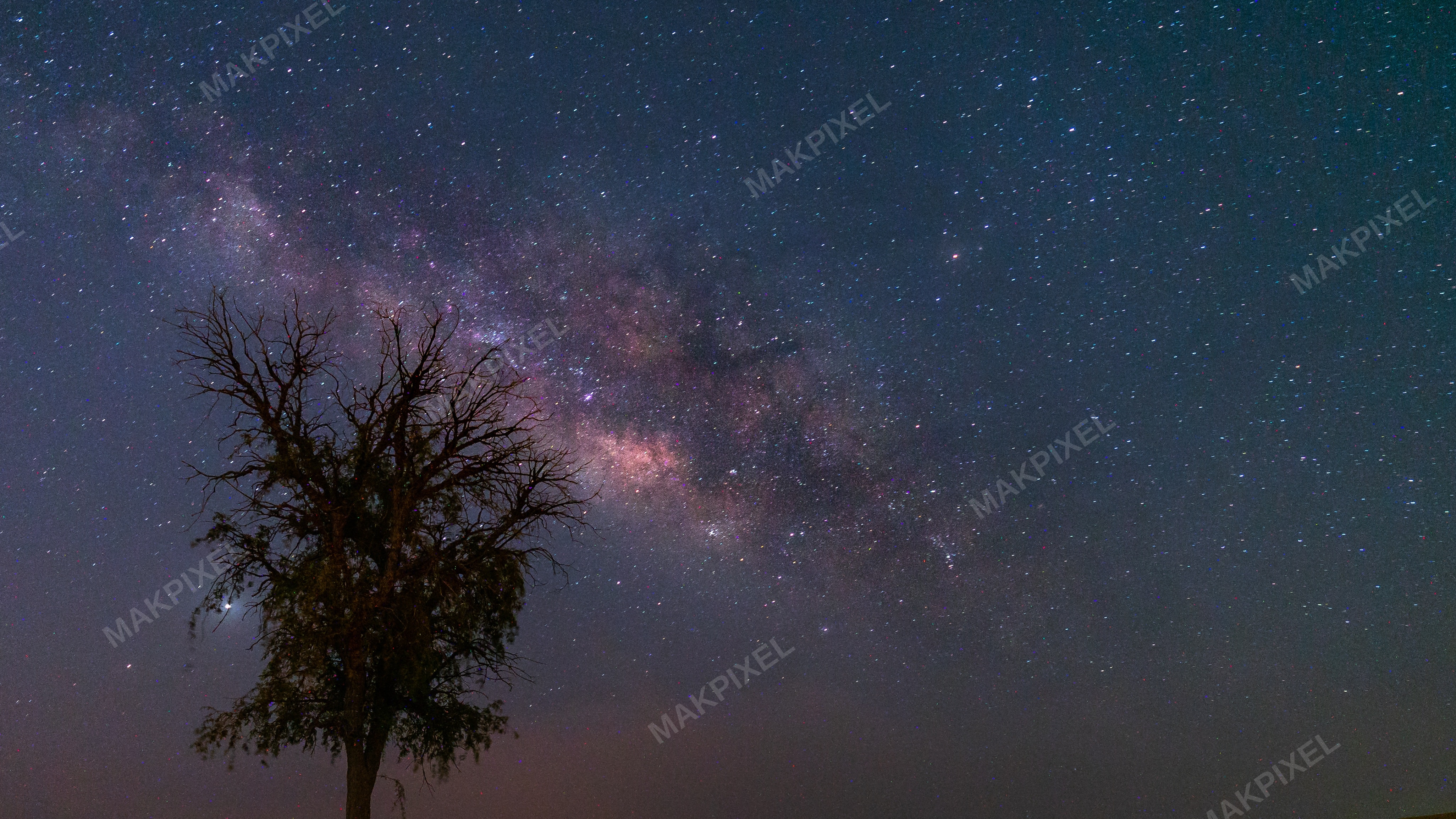 Milky Way Above Lone Tree in Abu Dhabi Desert – Night Sky Landscape - Full size view