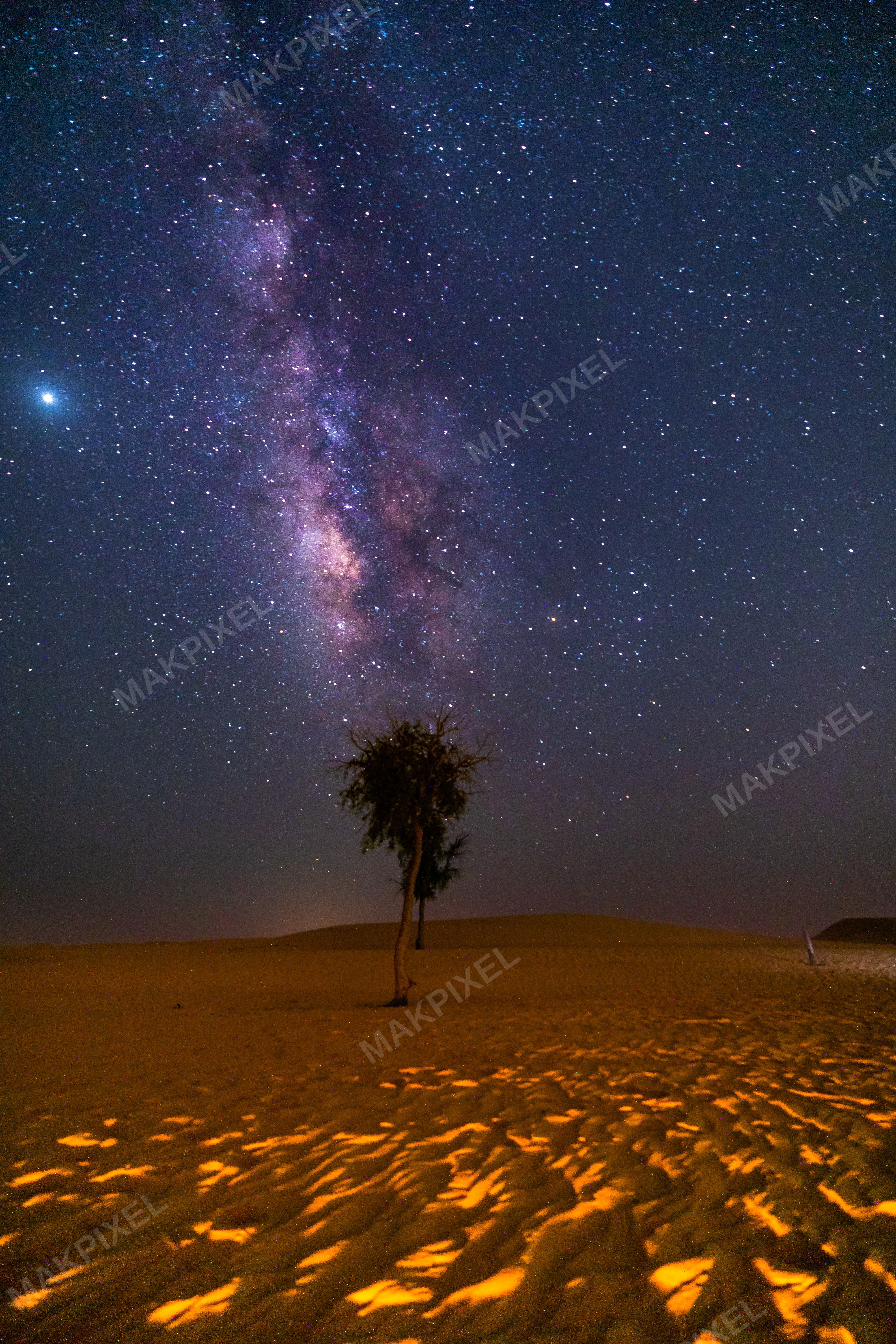 Vertical Milky Way Above Illuminated Sand and Lone Tree – Abu Dhabi - Full size view