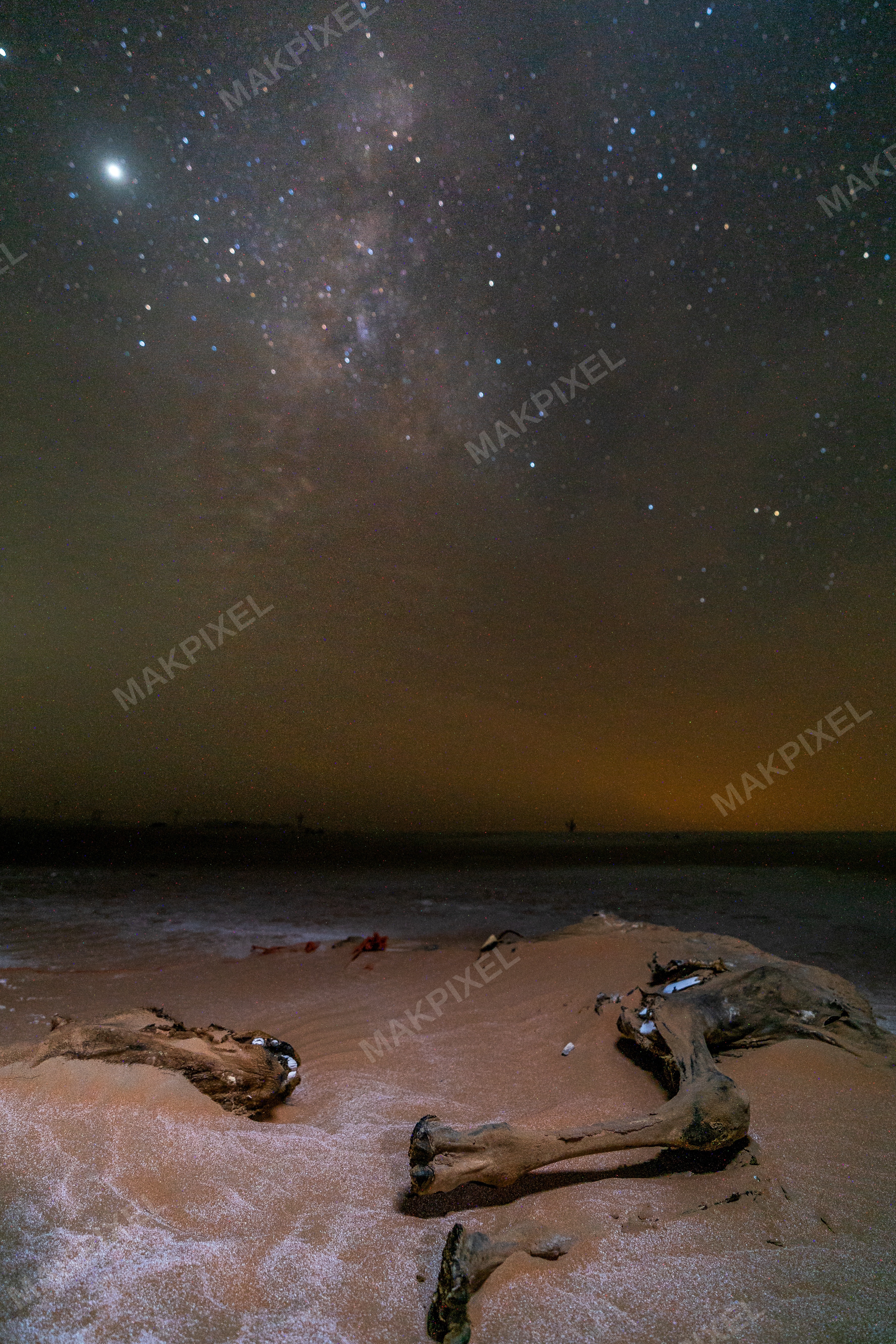 Driftwood on Sand Under Milky Way – Abu Dhabi Desert Night Sky Stock - Full size view