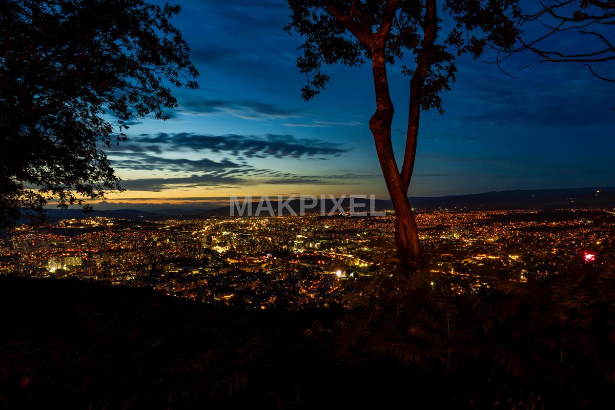 scenic nighttime view of a cityscape with a prominent tree - 8619×5746 stock photo