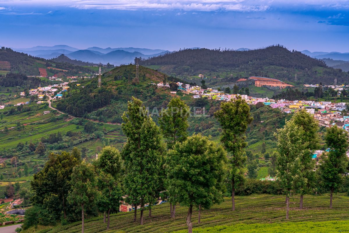 Rolling Hills and Tea Plantations, Nilgiris – Scenic South India Villa - 6687×4458 stock photo
