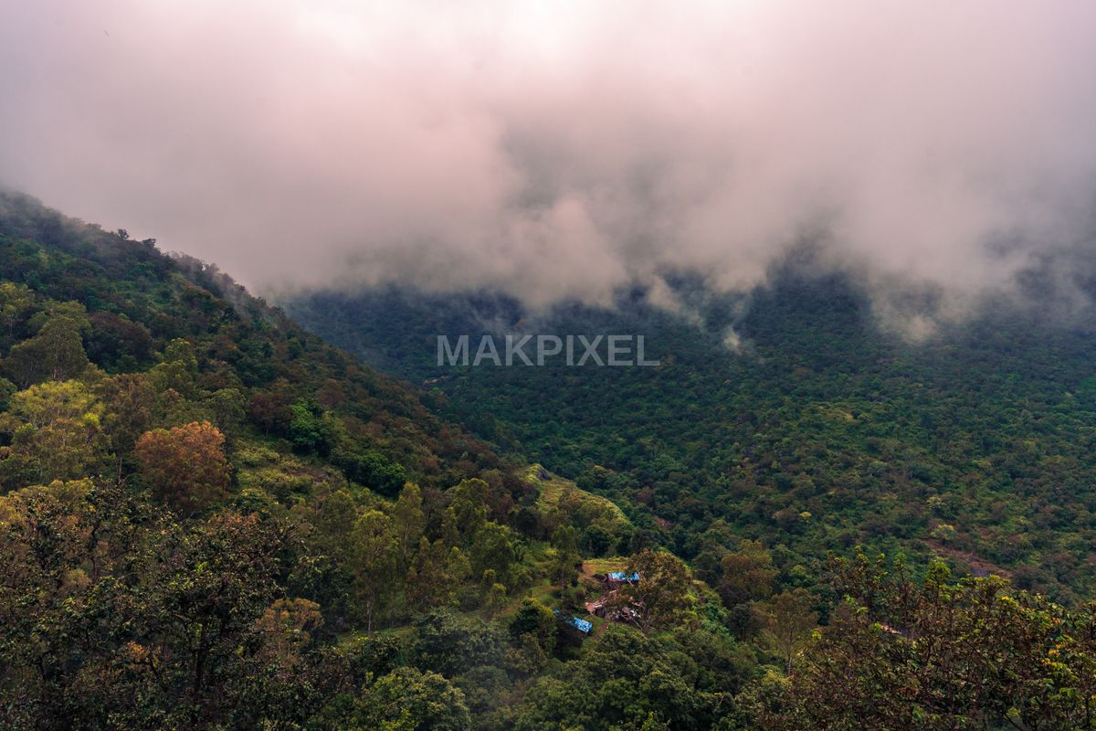 Sunset Over Ooty Gardens Hills Lush Green Plantations - 7008×4672 stock photo