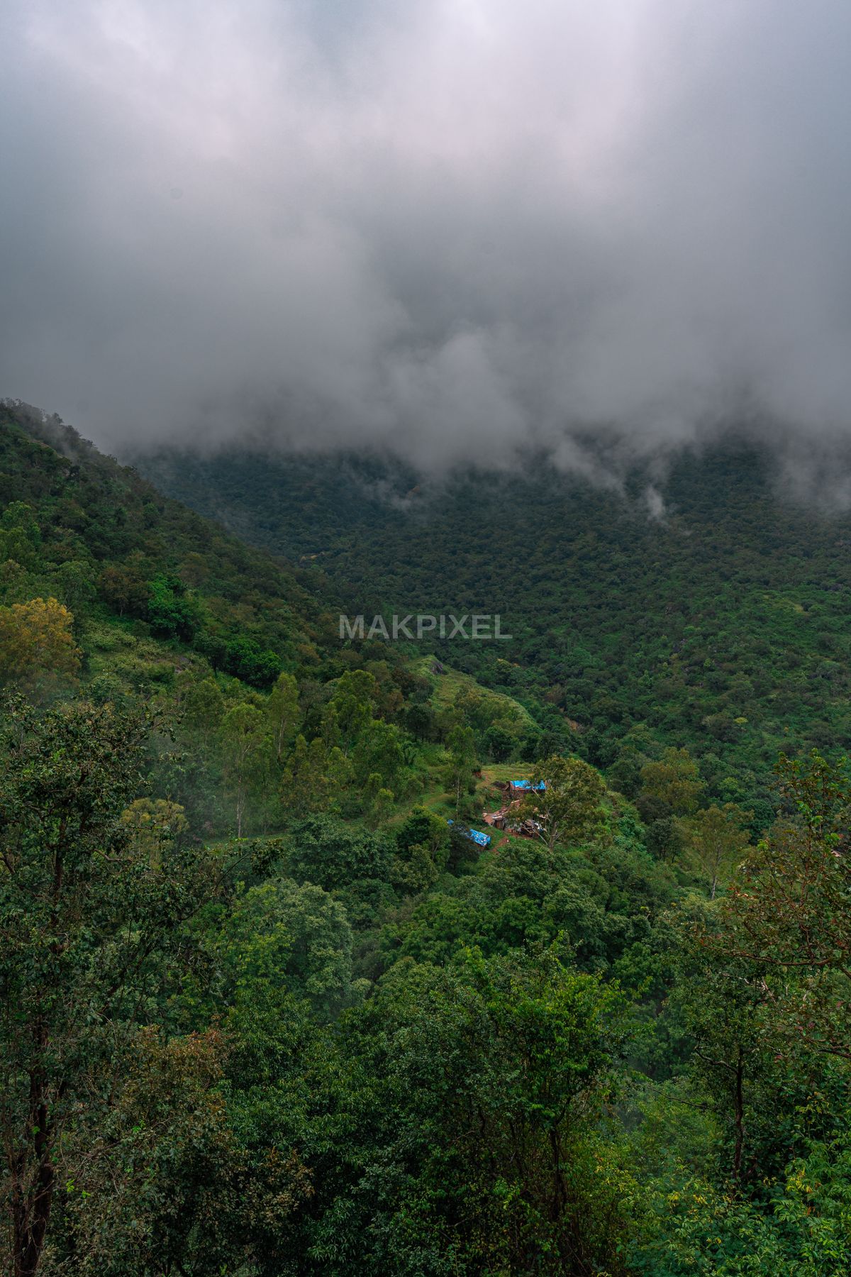 Ooty Misty Forest Hills Dense Greenery, Mountain Valley Fog - 4672×7008 stock photo
