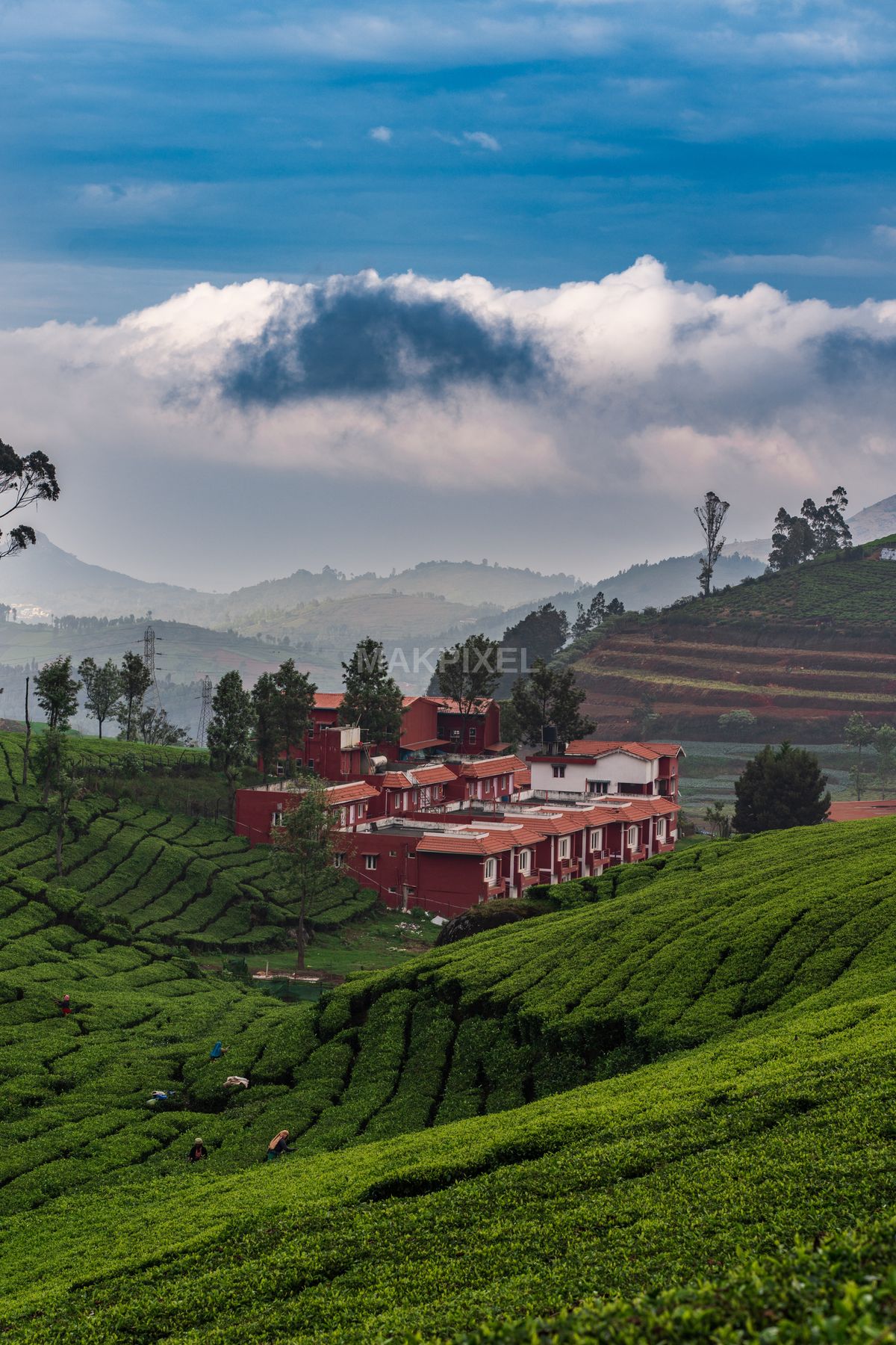 Red Buildings in Lush Ooty Tea Plantations – Dramatic Cloudscape, Hill - 3832×5748 stock photo