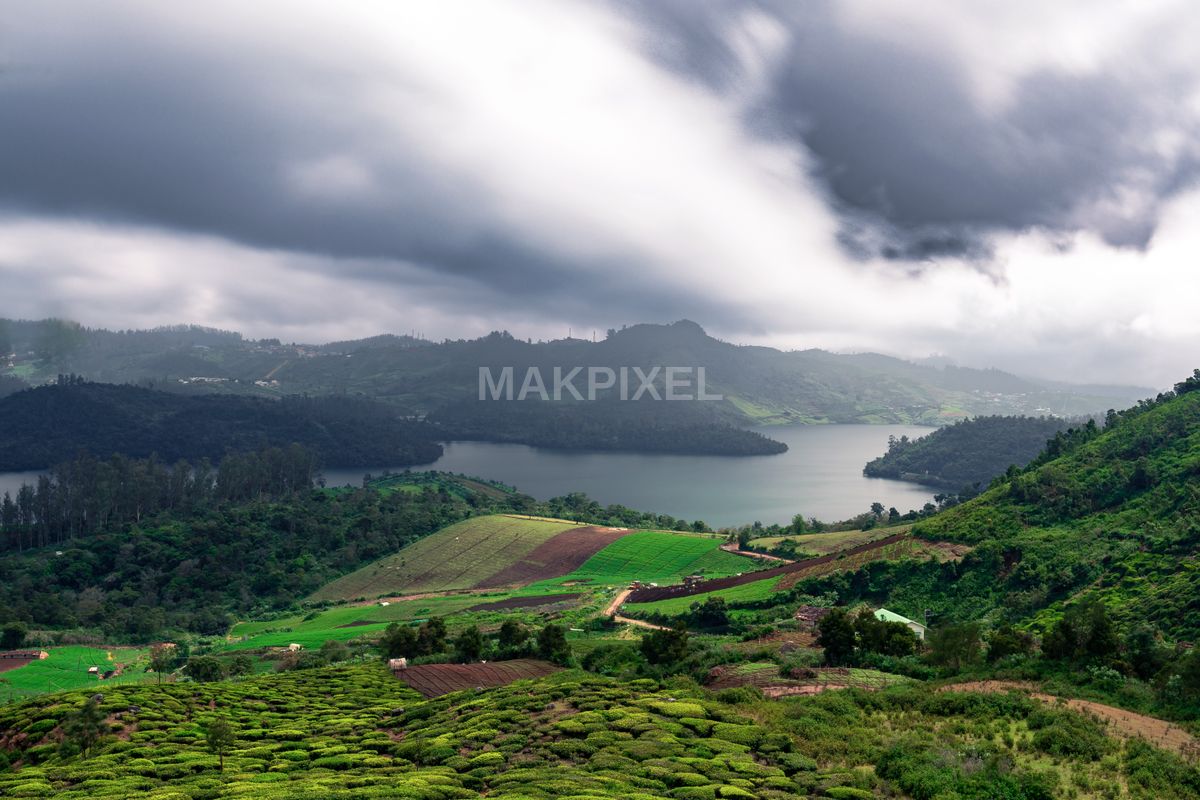 Emerald Lake and Tea Gardens, Ooty – Dramatic Monsoon Sky, Green Hills - 6261×4174 stock photo