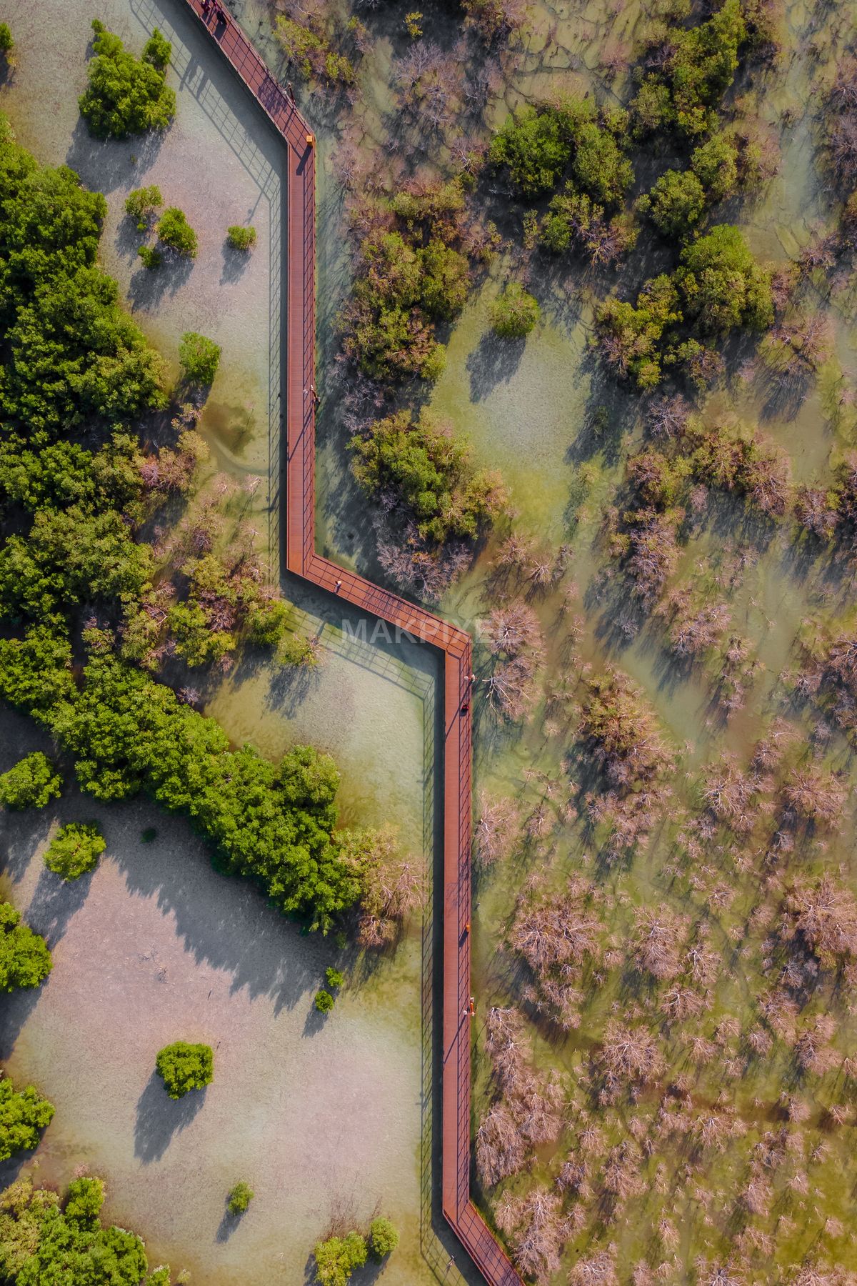 Jubail Mangrove Park Vertical Boardwalk | Aerial Eco Walkway Lagoon - 2461×3691 stock photo