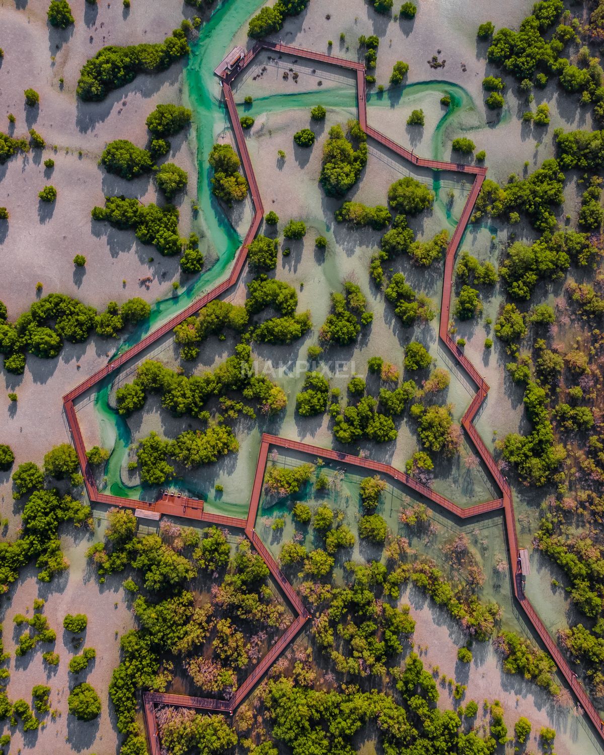 Jubail Mangrove Park Aerial Boardwalk Pattern | Walkway Abu Dhabi UAE - 2400×3000 stock photo