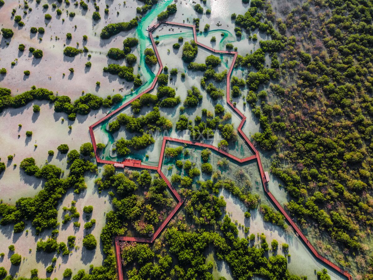 Jubail Mangrove Park Aerial Lagoon Boardwalk Geometric Walkway Wetland - 4000×3000 stock photo