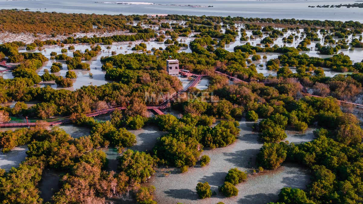 Jubail Mangrove Park Areal View Aerial abu dhabi - 3696×2079 stock photo