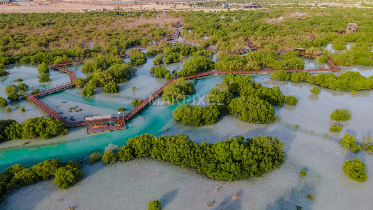 Jubail Mangrove Park Wide Aerial | Zigzag Boardwalk, Lagoon Channels - 7852×4417 stock photo