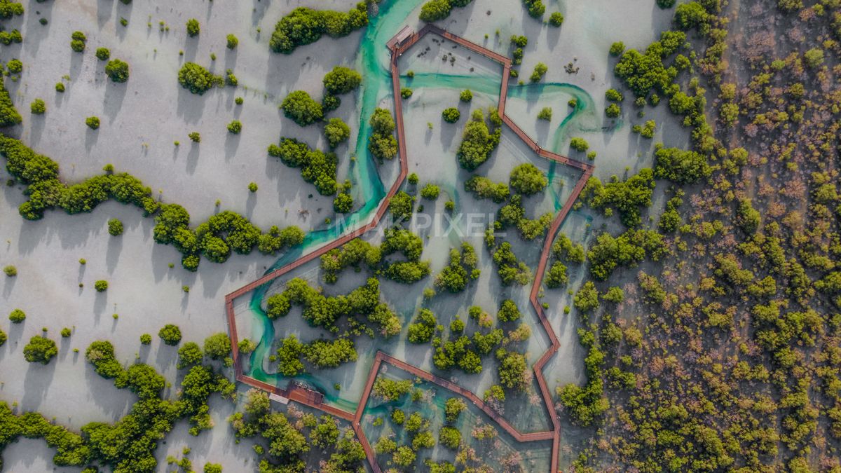 Jubail Mangrove Park Aerial Walkway Geometric Boardwalk - 7852×4417 stock photo