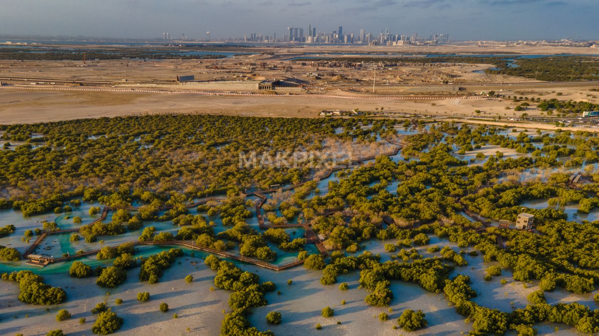 Jubail Mangrove Park abu dhabi Cityscape Aerial Wetlands, Boardwalks - 6725×3783 stock photo