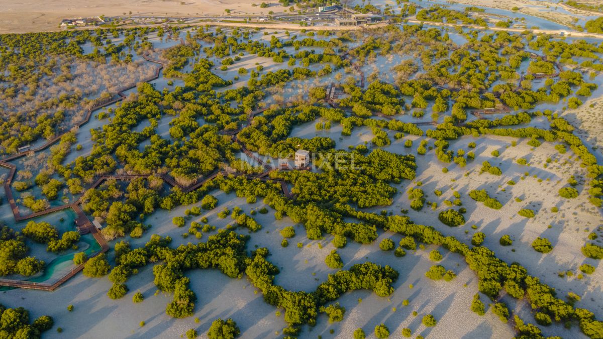 Jubail Mangrove Park Aerial View Landscape Appears Park - 6585×3704 stock photo