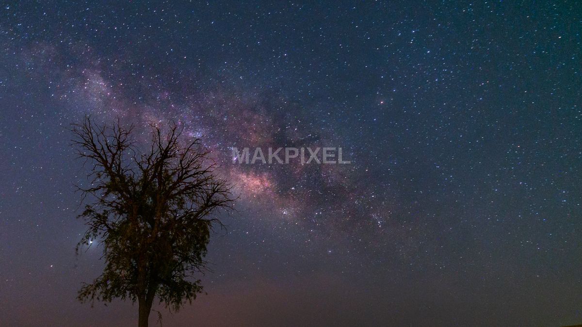 Milky Way Above Lone Tree in Abu Dhabi Desert – Night Sky Landscape - 4104×2309 stock photo