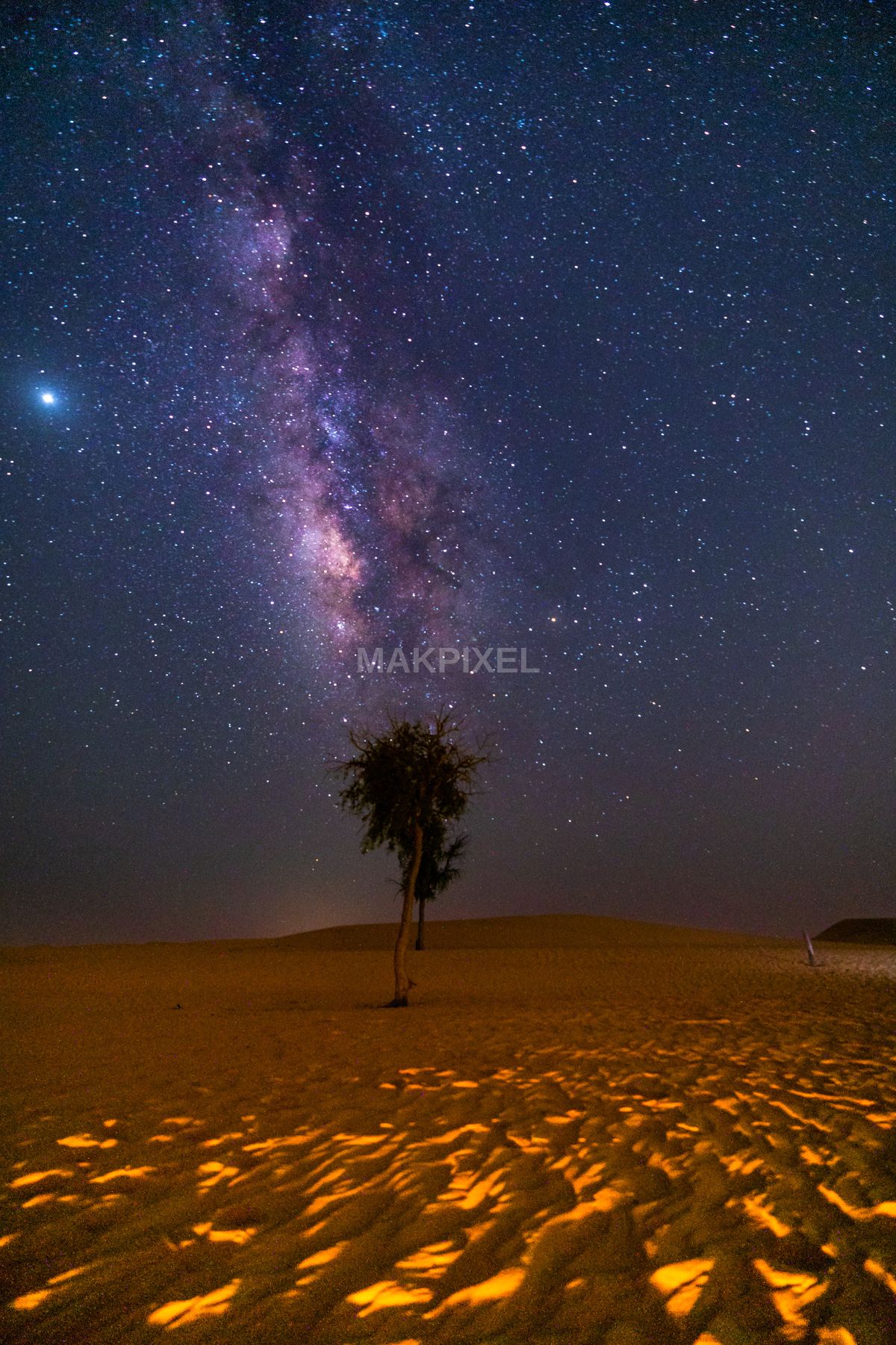 Vertical Milky Way Above Illuminated Sand and Lone Tree – Abu Dhabi - 4000×6000 stock photo