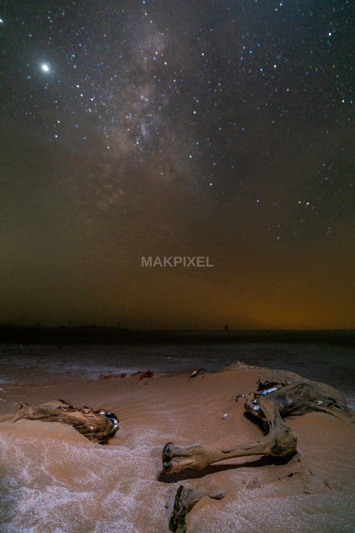 Driftwood on Sand Under Milky Way – Abu Dhabi Desert Night Sky Stock - 3552×5328 stock photo